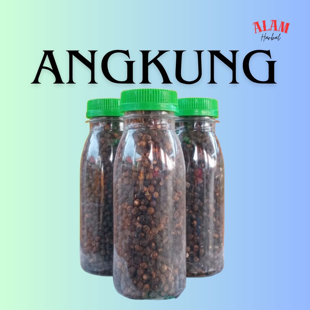 Angkung Obat Stroke