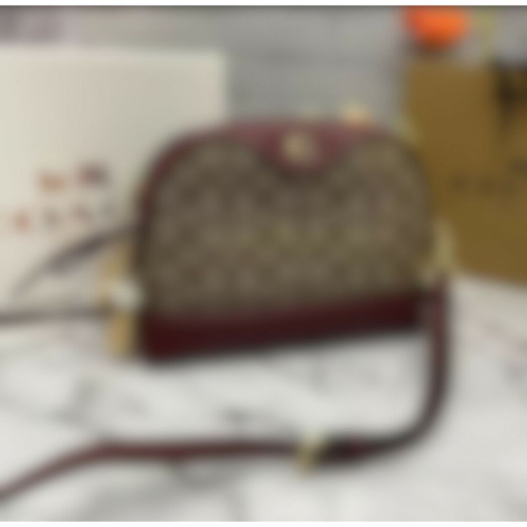 CH ivie crossbody 24 bag sgntre jacquard red khaki wine