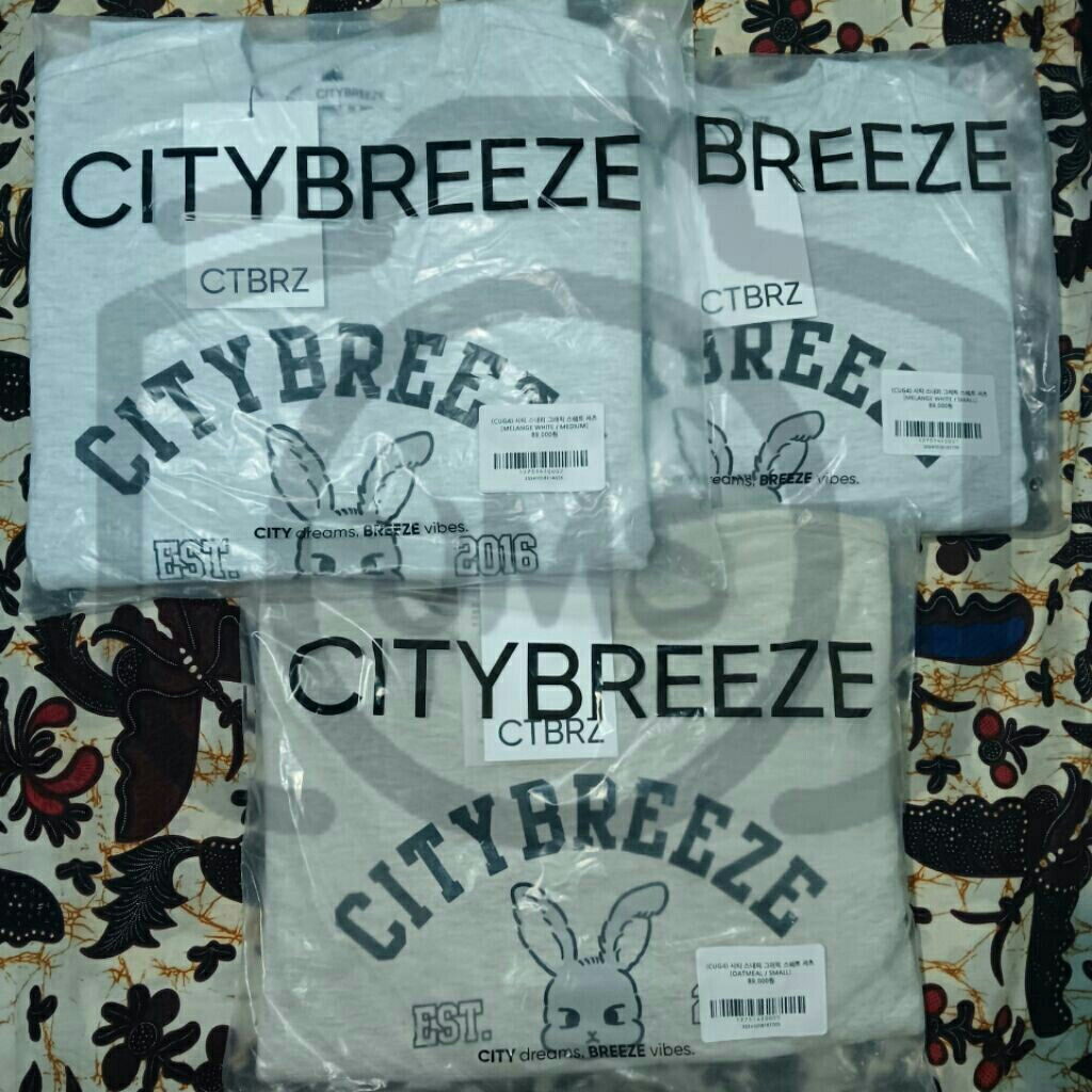 [READY] City Breeze X Doyoung NCT127 Graphic Sweat Shirt SweatShirt Crewneck CN CityBreeze