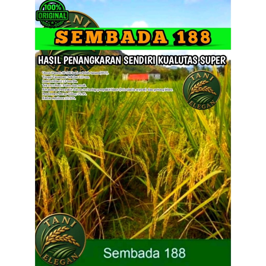 1Kg Benih Padi SEMBADA 188 ULTRA