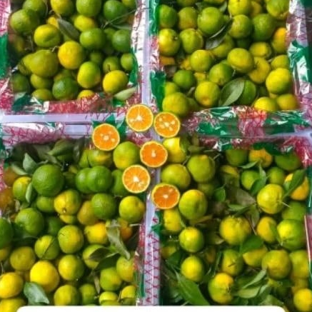 JERUK SANTANG MADU IJO /keranjang