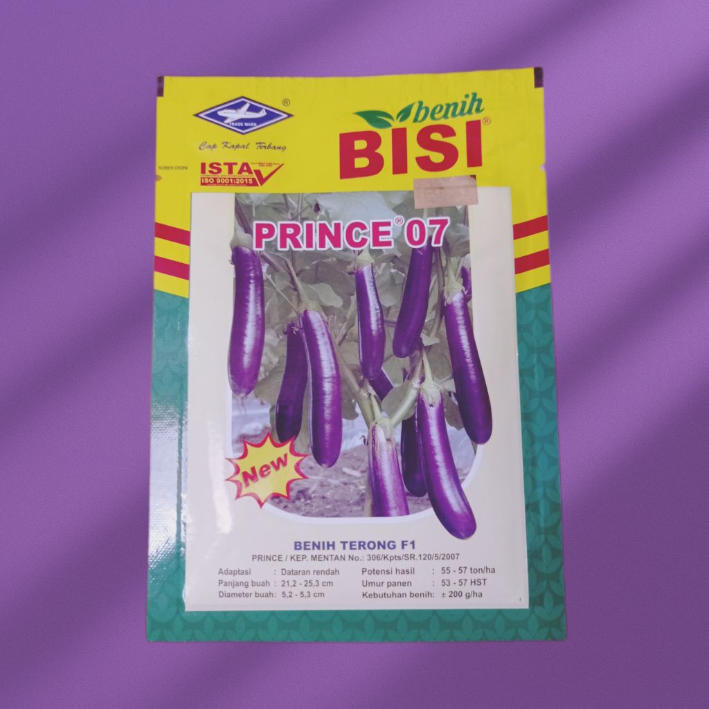Benih terong PRINCE 07