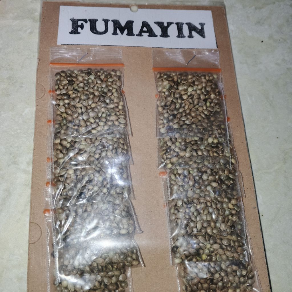 penggacor burung fumayin kemasan 1 sachet