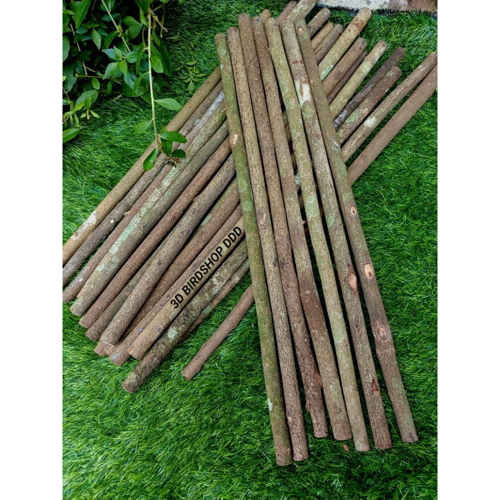 TANGKRINGAN ASEM BALI JUMBO JALAK, KEPODANG, POKSAY SERAT KASAR