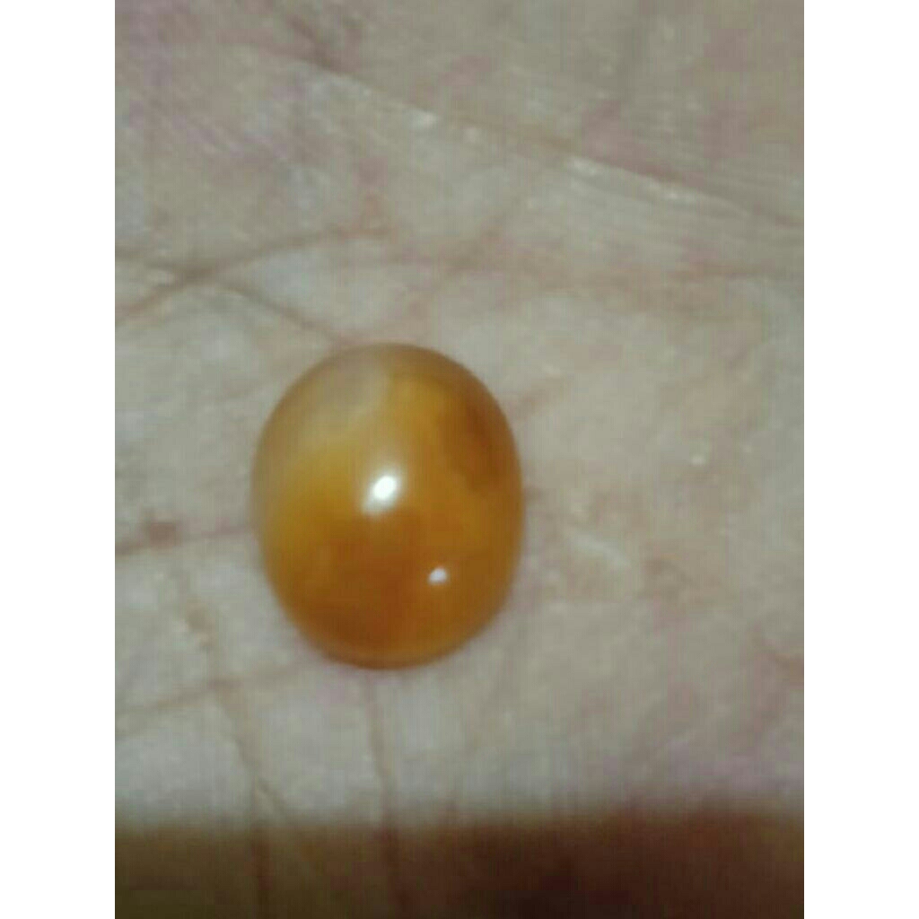 batu akik raflesia