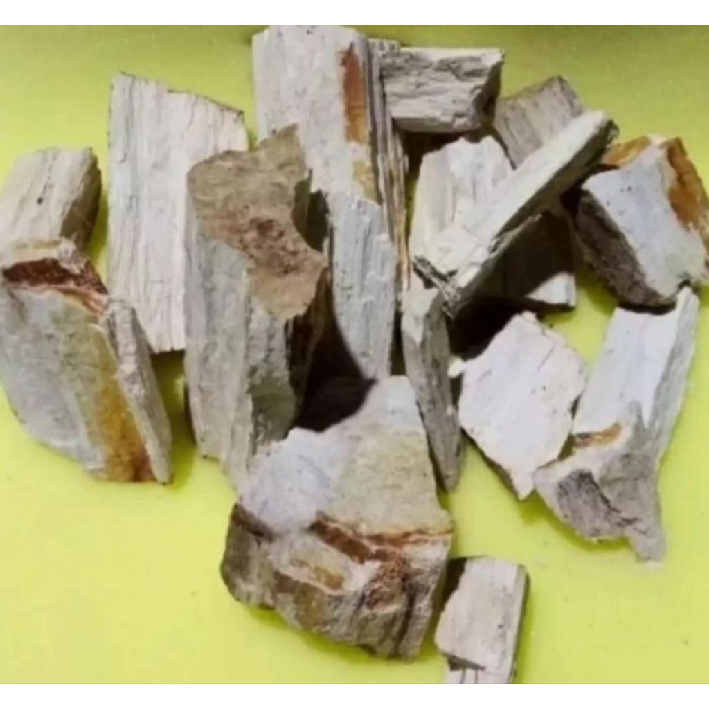 batu fosil kayu hiasan aquarium  berat 1 kg