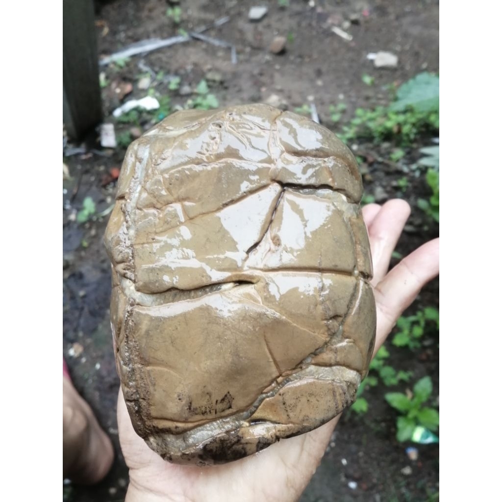 rough bahan jalasutra