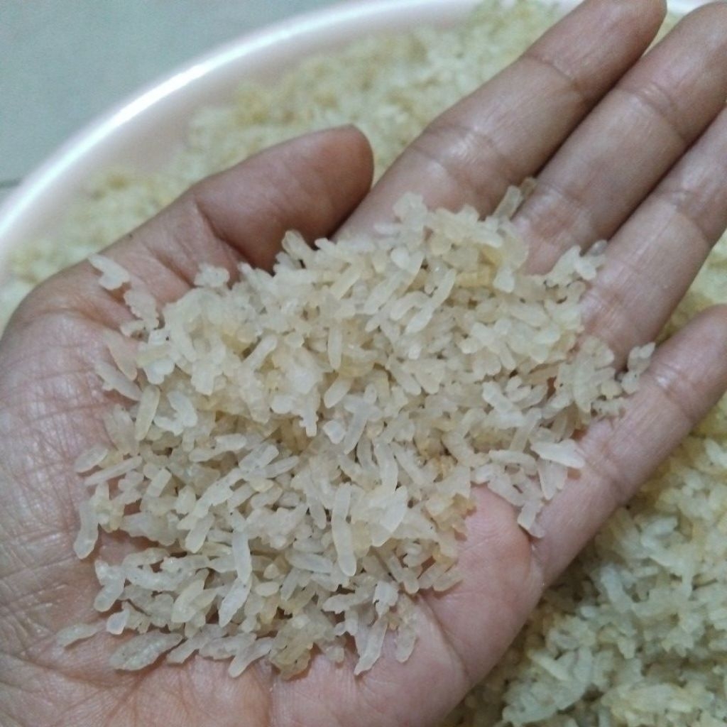 karak /Aking nasi kering