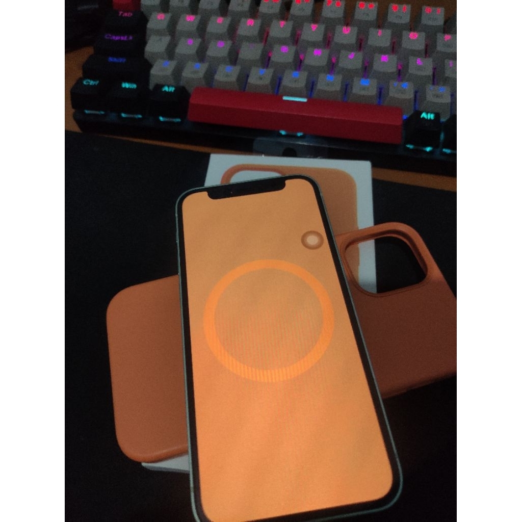 Silicone Case Magsafe iPhone 12 Mini Original Iphone Animation Magsafe