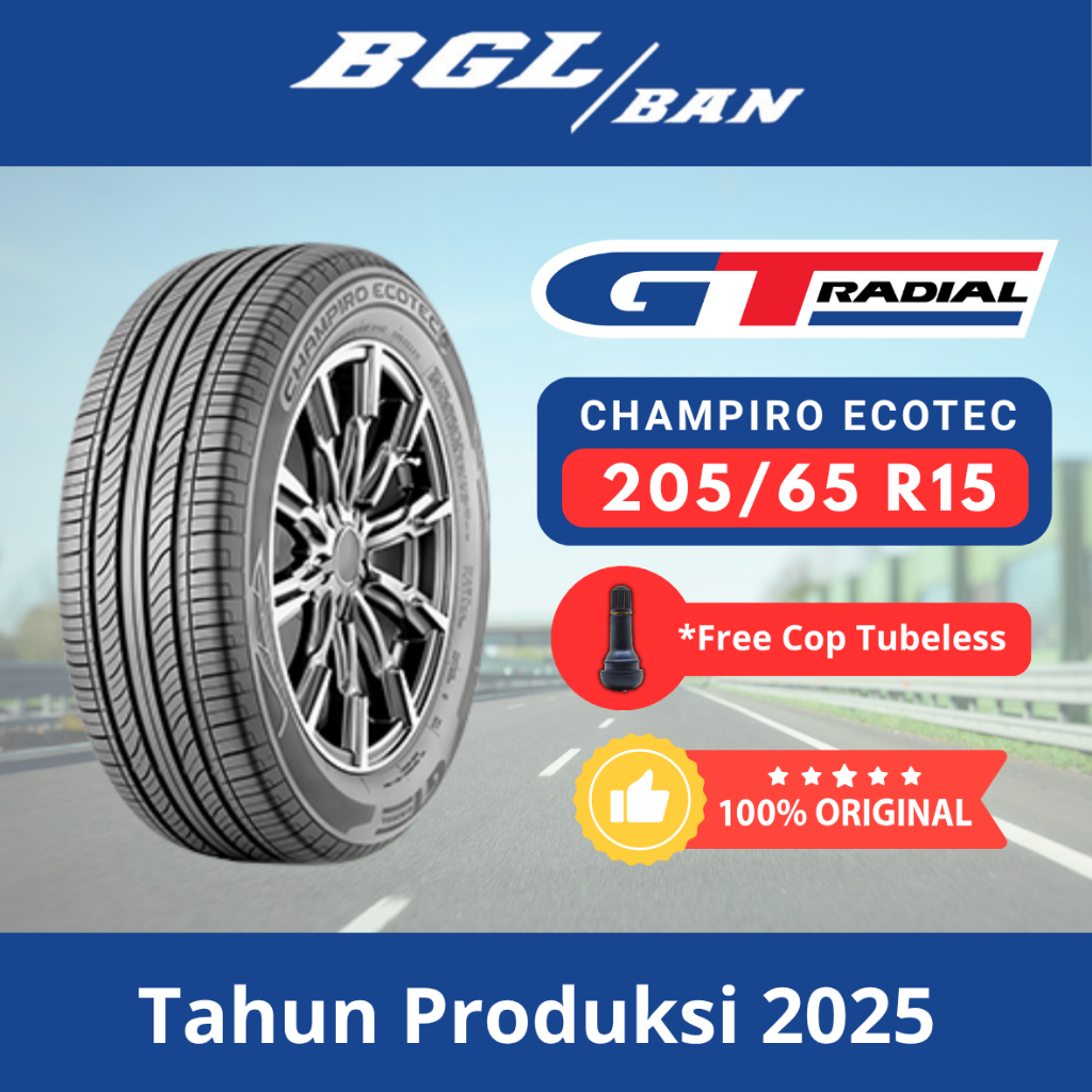 Ban GT Champiro Ecotec 205/65 R15
