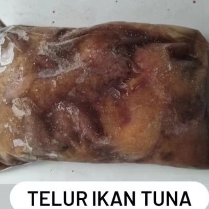 telur ikan tuna