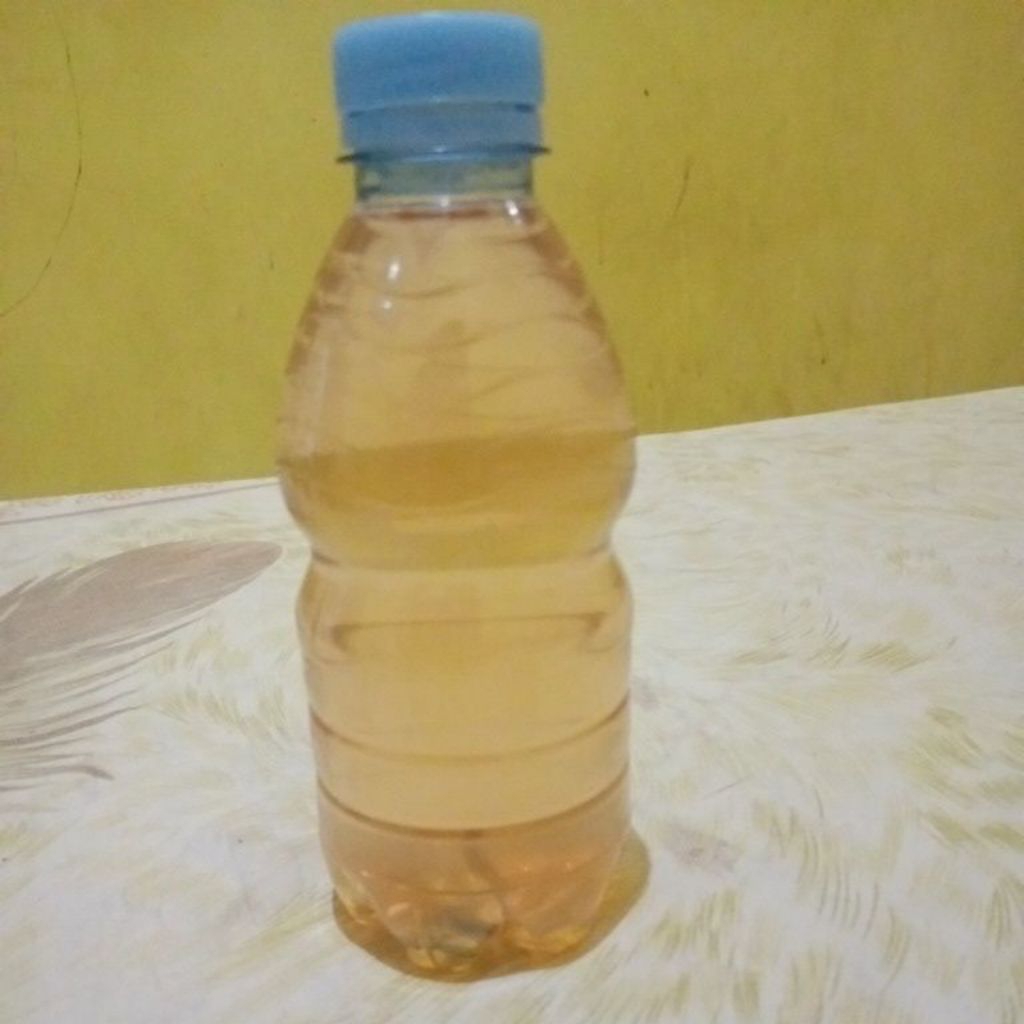 teh kombucha