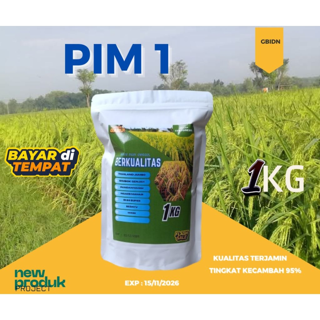 Benih padi PIM 1 kemasan 1 kg 100% asli