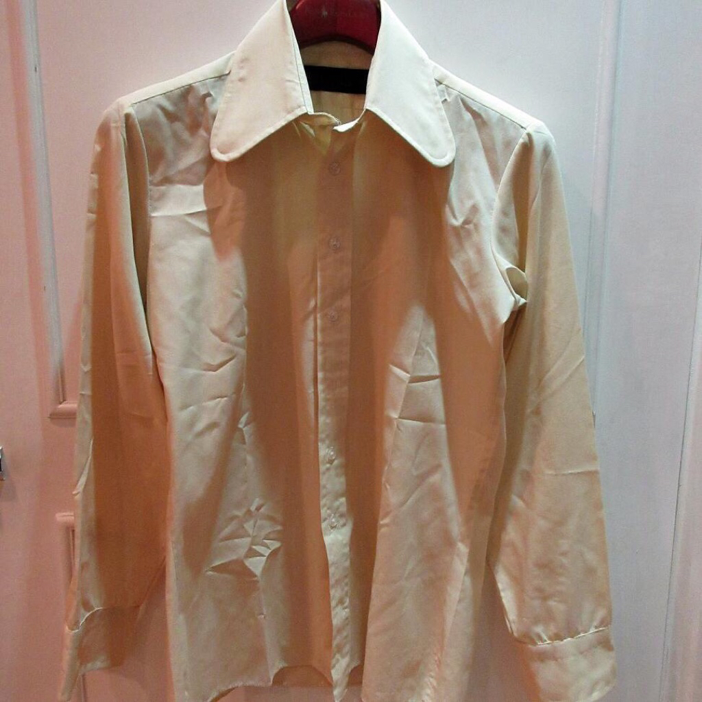 vintage BRUTUS shirt beagle penny collar Shirt Long Sleeves