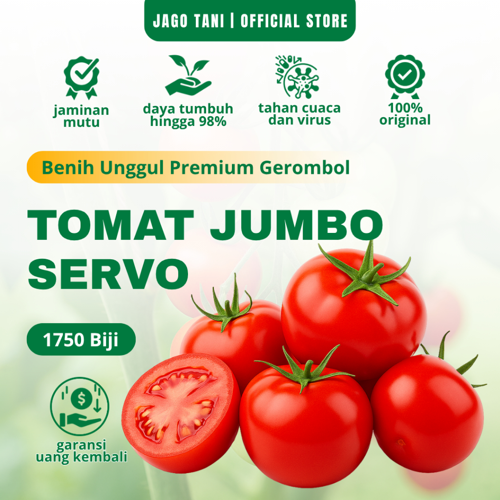 Benih Tomat Fastop Unggul 5 Gram 1750 Biji Jenis Servo Buah Lebat
