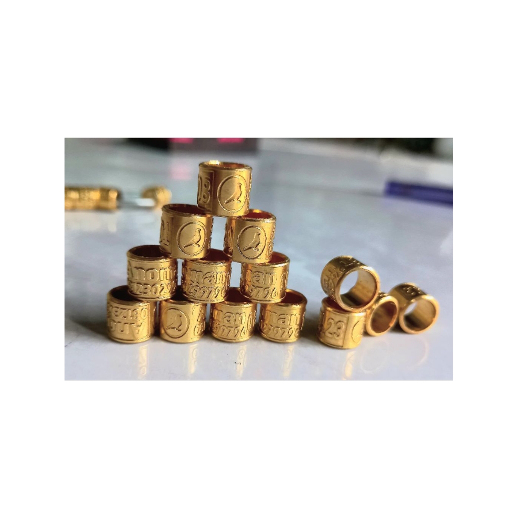 ring burung merpati ukir standar dan dewasa