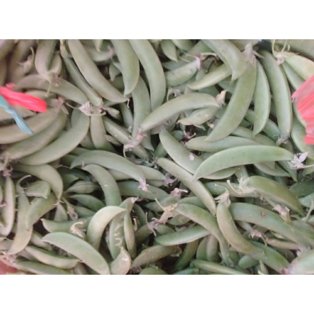 SAYUR ERCIS ARCIS KACANG KAPRI MANIS