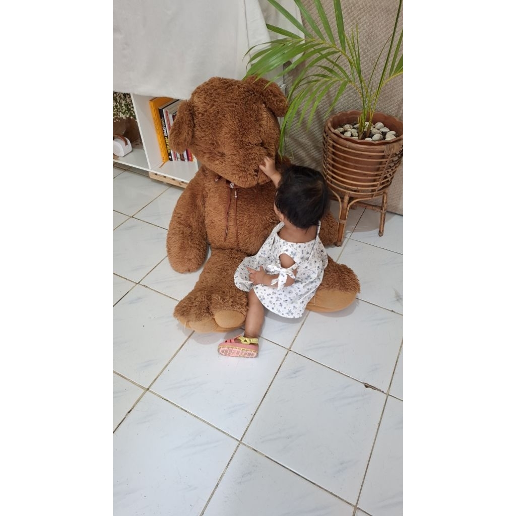 Boneka Teddy Bear /cheerish bear JUMBO - istana boneka