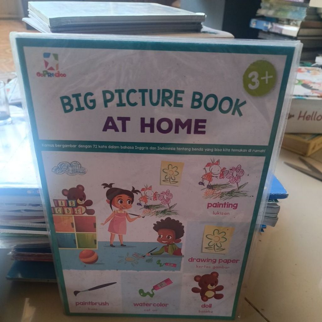 BIG PICTURE BOOK AT HOME.