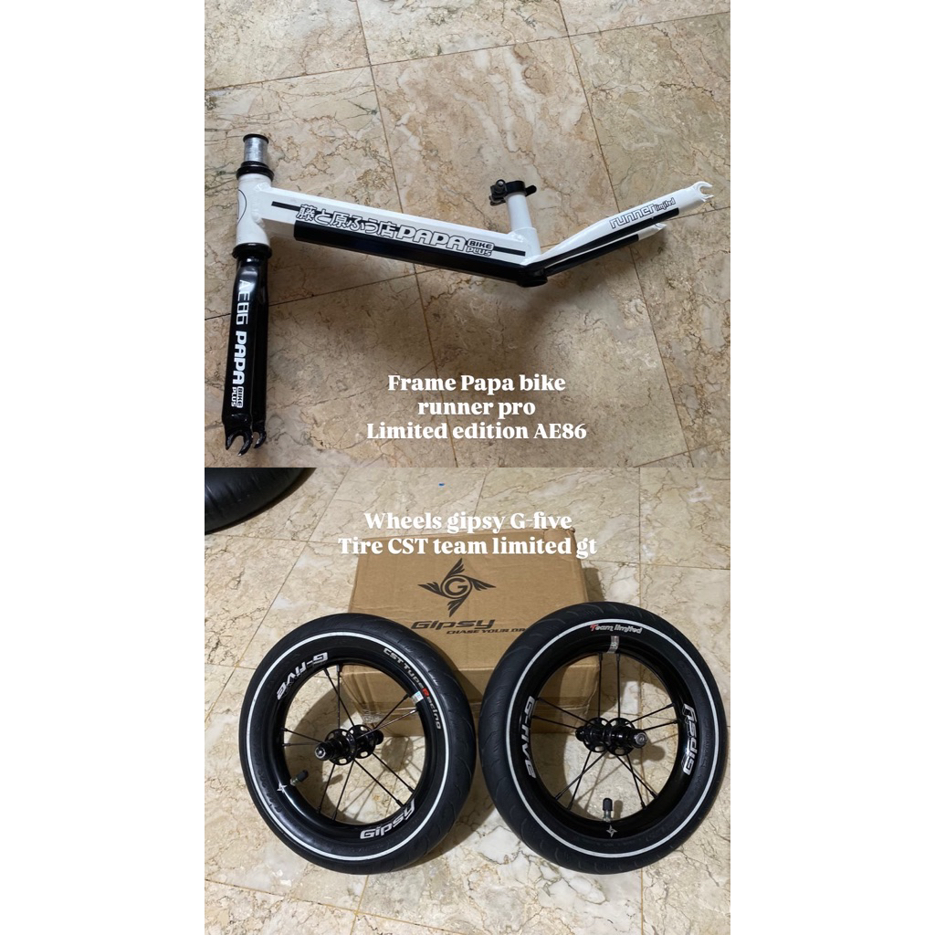 frame papabike ae 86 ws Gipsy G five Nego