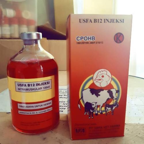 PREMIX - USFA VITAMIN B12 Injeksi Hewan Sapi kambing - Menambah nafsu makan