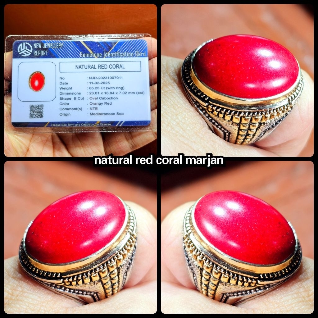 batu coral merah marjan asli laut merah yemen.