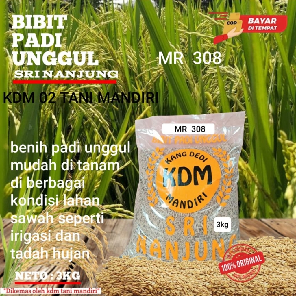 BENIH PADI BIBIT PADI MR 308 KEMASAN ORIGINAL 3KG BIBIT PADI SUPER UNGGUL