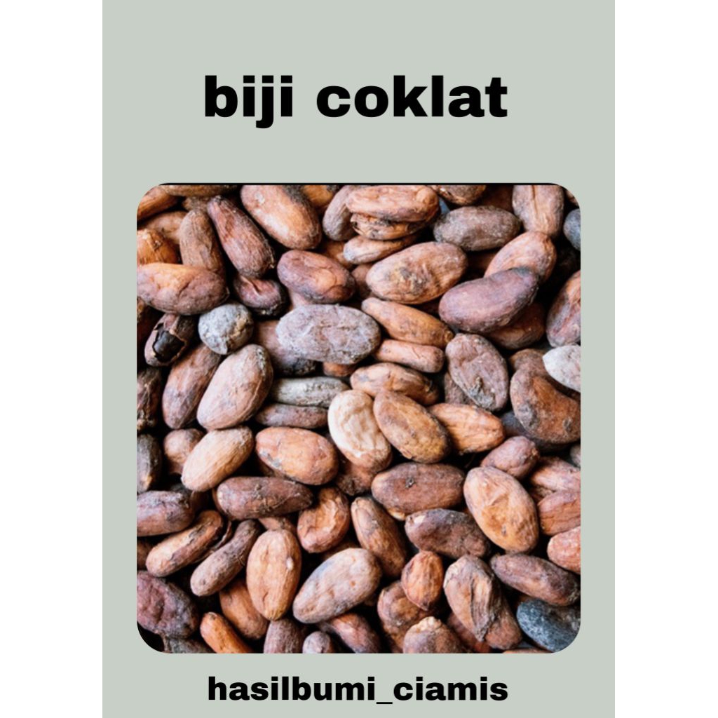 biji kakao / biji kakao kering / grade A super