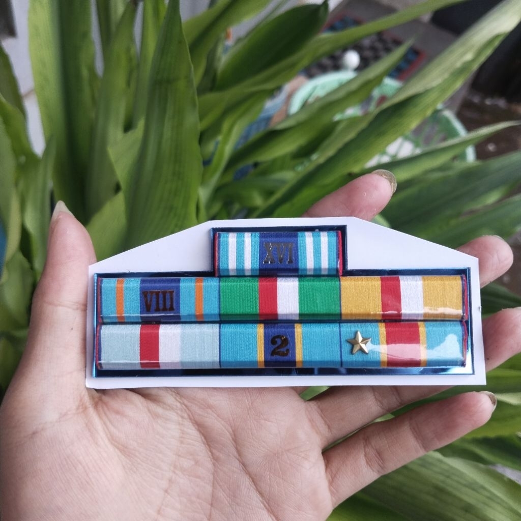 PITA JASA, SATYA LENCANA PDH TNI AU KESETIAAN VIII, XVI (TAHUN), DHARMA NUSA, VETERAN, SANTI DHARMA,