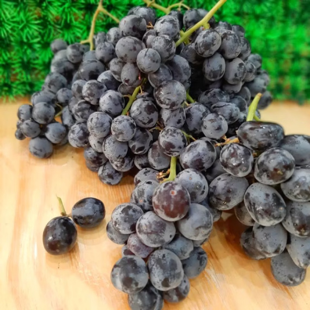PROMO Anggur Black Autumn Manis, Fresh dan Non Biji 500gr