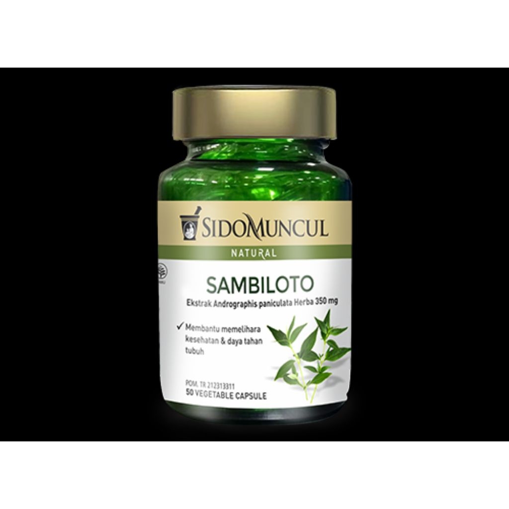 Sidomuncul Sambiloto
