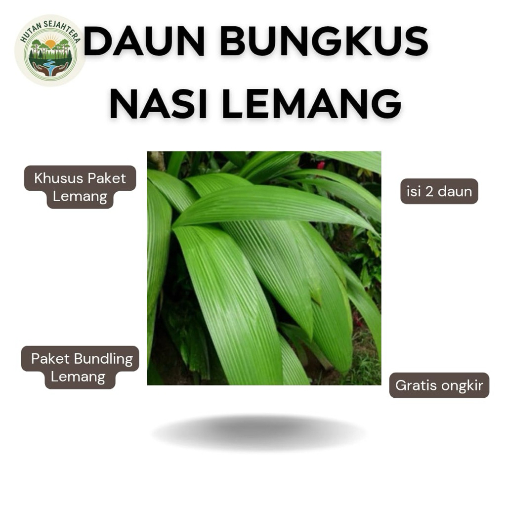 KHUSUS BUNDLING Paket Lemang (Daun Buat Lemang) Daun Congkok