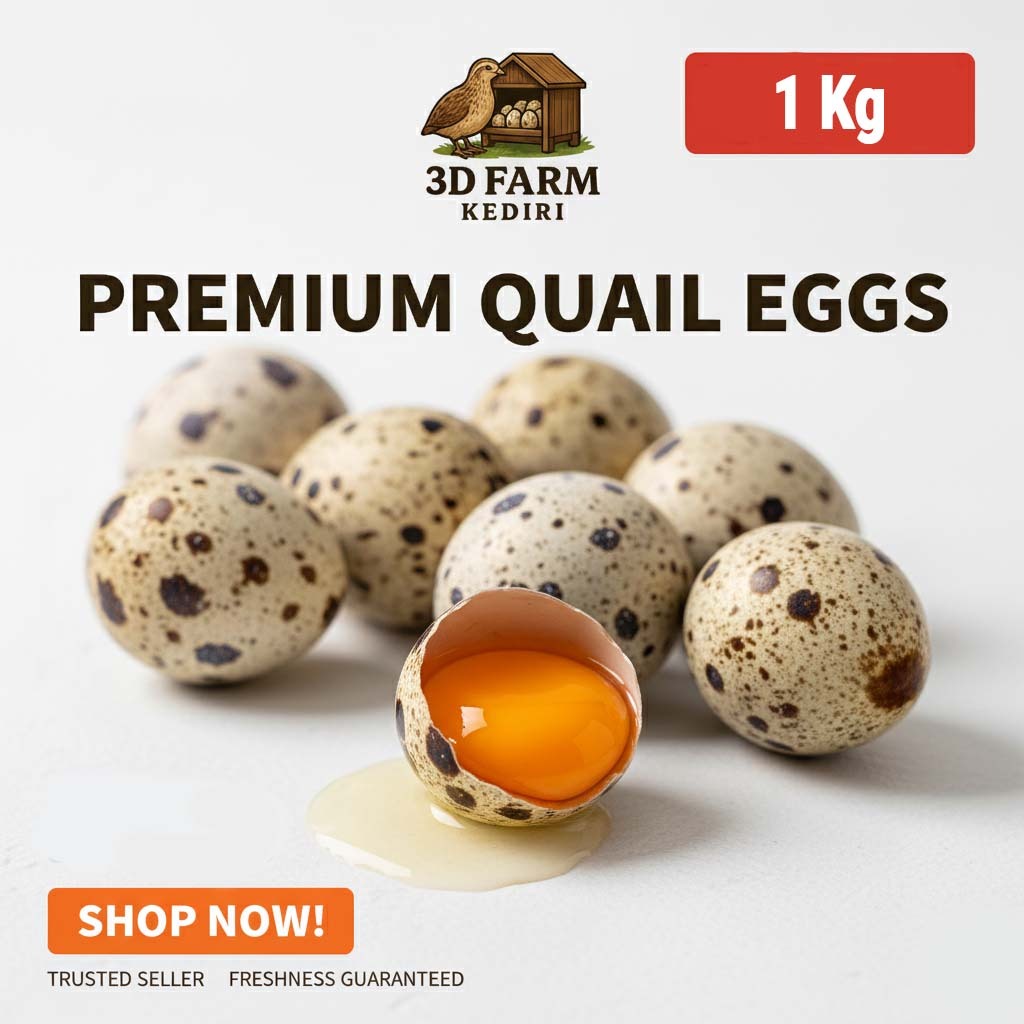 PAKET 1 Kg BUTIR TELUR PUYUH FRESH TELUR PUYUH MENTAH/TELUR PUYUH KONSUMSI