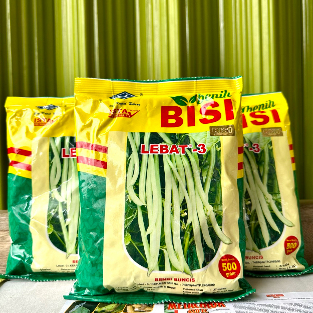 Benih Buncis LEBAT 3 500Gram - Bibit Buncis Lebat 3 Cap Kapal Terbang