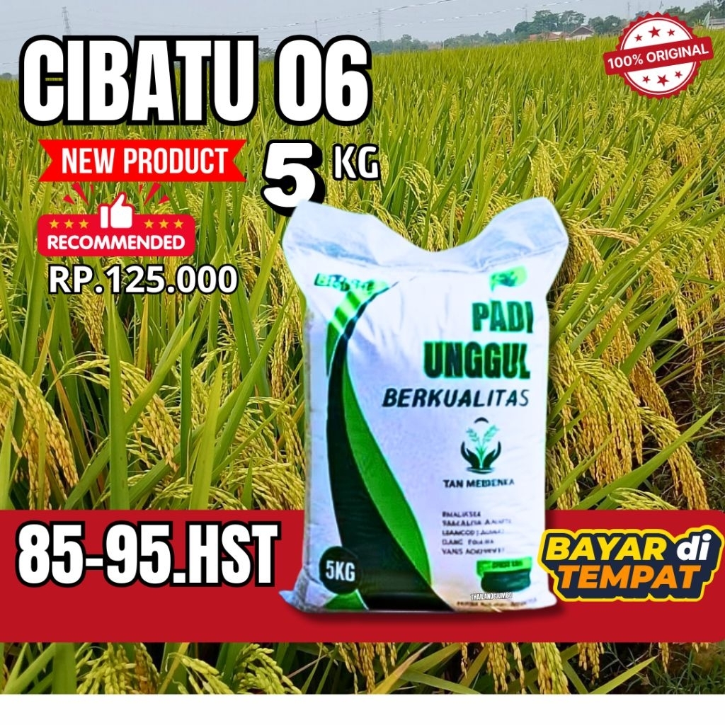 Benih padi CIBATU 06 5kg