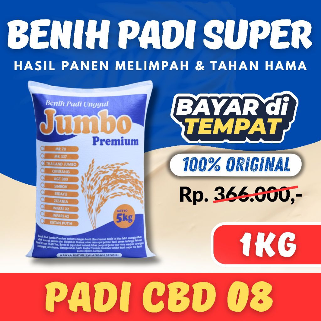 Benih padi CBD 08 1kg Berkualitas
