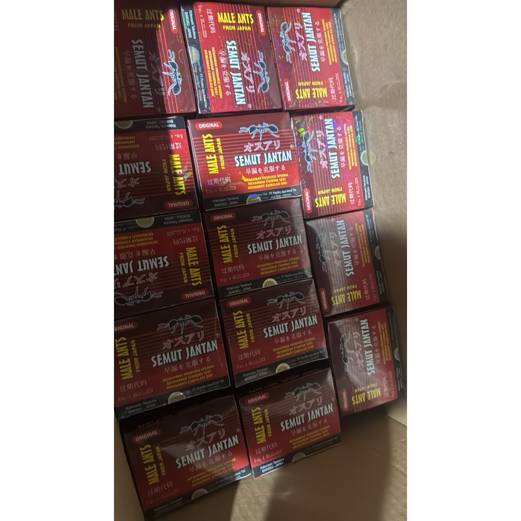 SEMUT JANTAN ORIGINAL