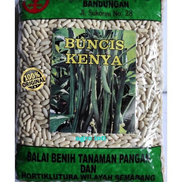 Benih buncis baby KENYA buncis Prancis