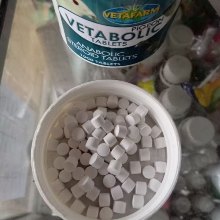 VETABOLIC DOPING UNTUK MERPATI