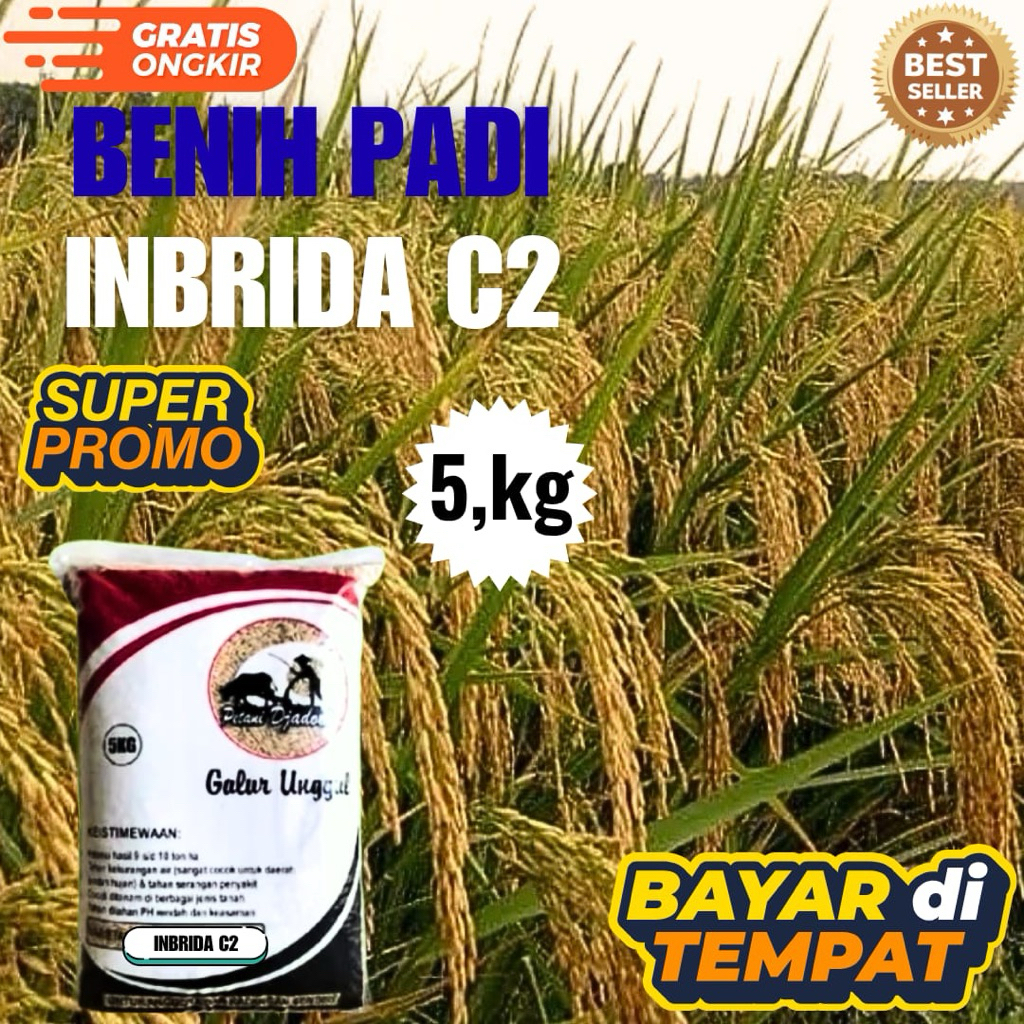 BENIH PADI INBRIDA C2 KEMASAN 5,kg BENIH PADI KUALITAS ORIGINAL