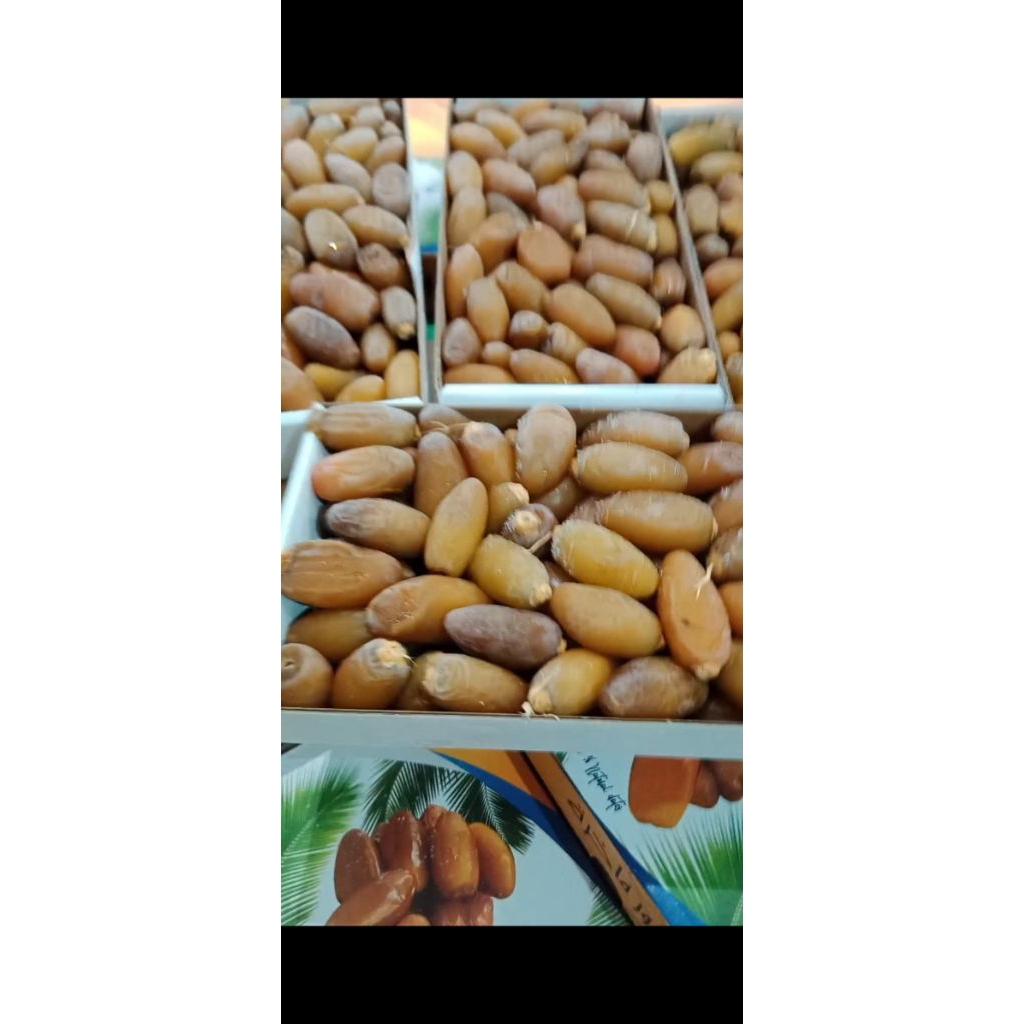KURMA MUDA RUTHOB LIBYA FRESH TERMURAH KURMA BASAH