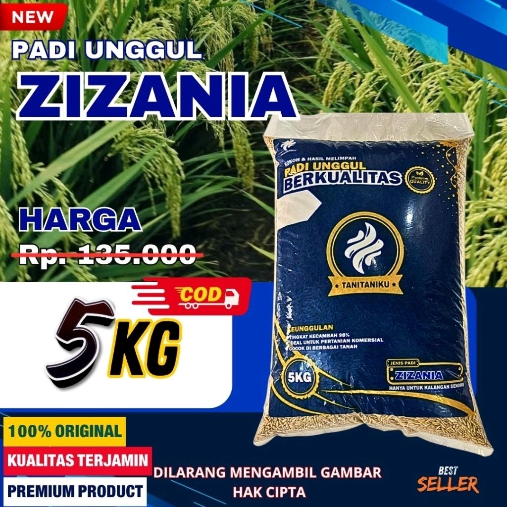 (5KG) Benih padi unggul ZIZANIA ACEH kemasan 5kg