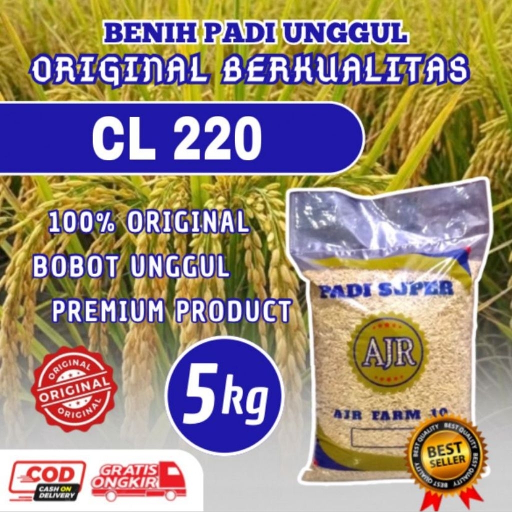 Benih Padi Unggul Kualitas Terjamin (CL 220)5Kg