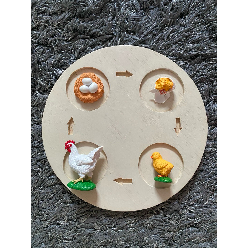 Figurine Life Cycle