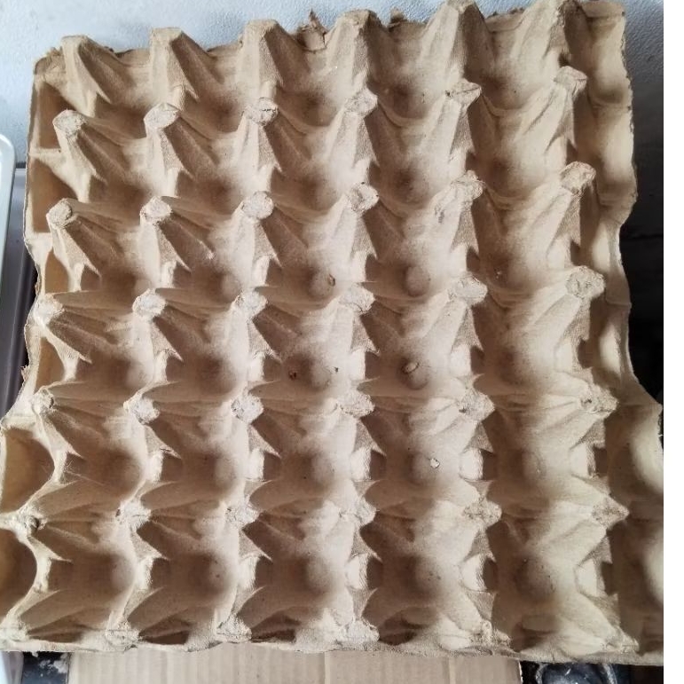 PAKET 10 LEMBAR WADAH TELUR AYAM/ TELUR BEBEK/ TELUR PUYUH/ EGG TRY KARTON/ KARDUS