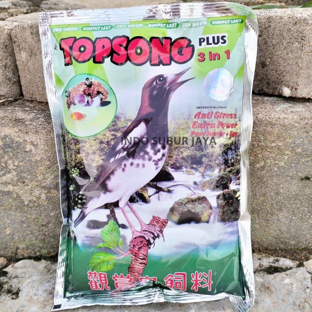 TOPSONG RUMPUT LAUT Makanan Burung Murai Batu