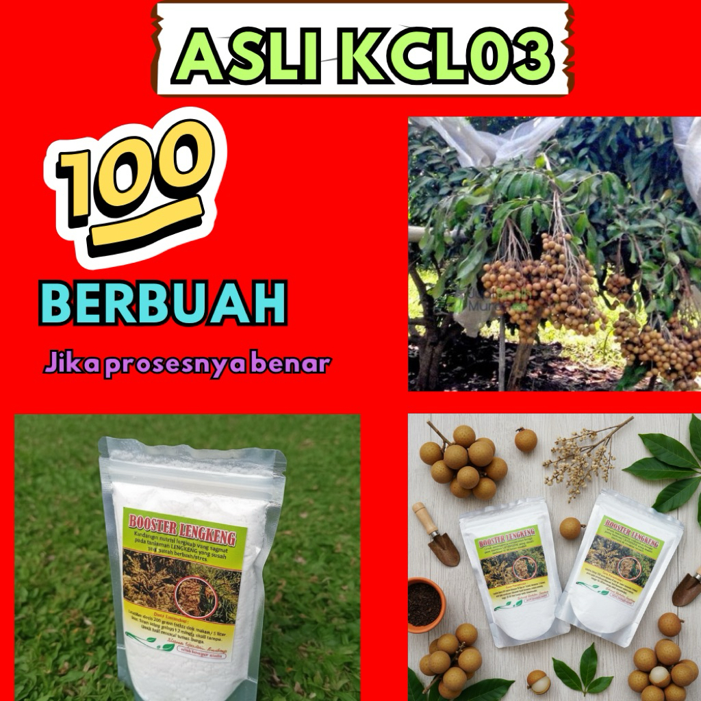 Booster Kelengkeng Terbaik, Booster Kelengkeng Terdekat