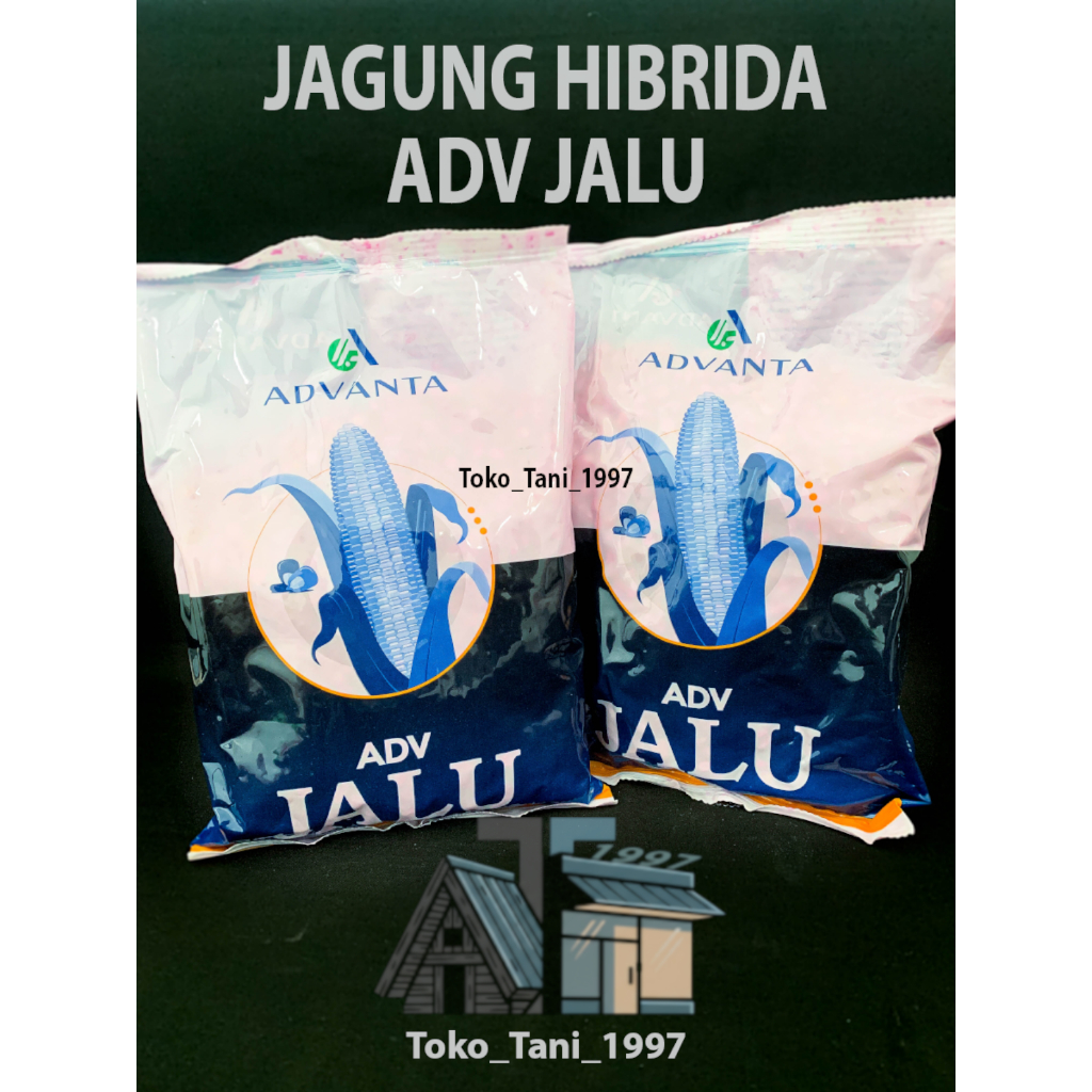 ADV JALU BENIH JAGUNG HIBRIDA ADVANTA 1 Kg JAGUNG KERING/PIPIL