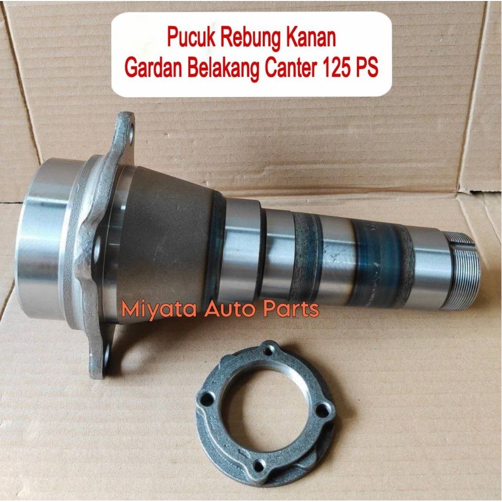 Pucuk Rebung Gardan Belakang Canter 125 PS