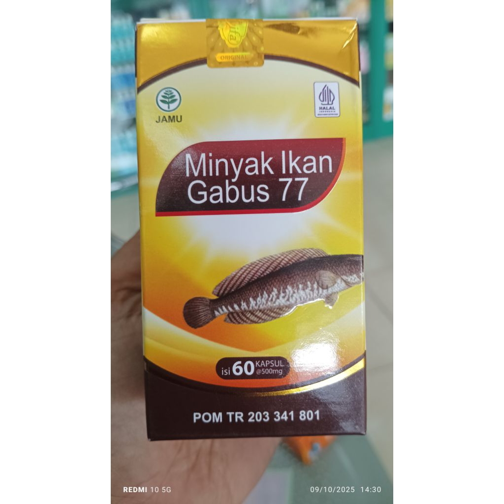 minyak ikan gabus 77 60 kapsul